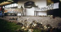 lverseuchte Vgel vor dem Texaco-Hauptquartier